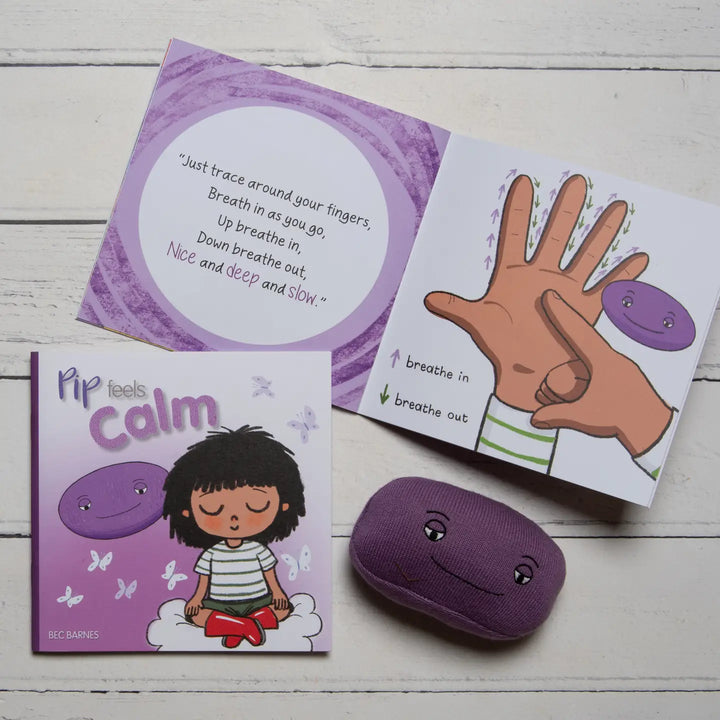 Learn Well - Pip Feels - 4 pocket books. Help young children deal and cope with their emotions to relieve stress and anxiety